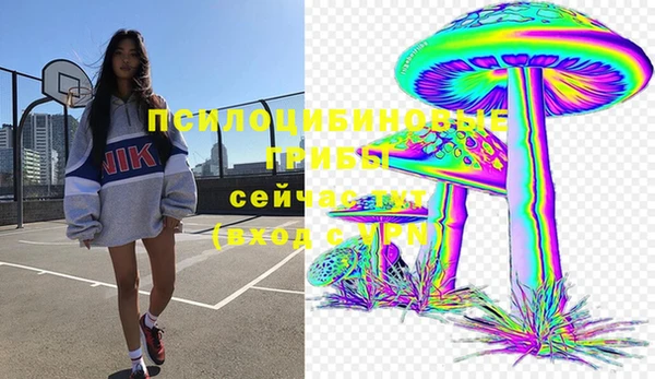 ПСИЛОЦИБИНОВЫЕ ГРИБЫ Аркадак