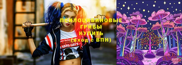 ПСИЛОЦИБИНОВЫЕ ГРИБЫ Аркадак