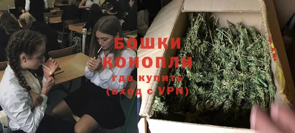 ПСИЛОЦИБИНОВЫЕ ГРИБЫ Аркадак